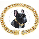 Cuban Link Dog Chain Necklace with Zirconia Stones, 6 Colors