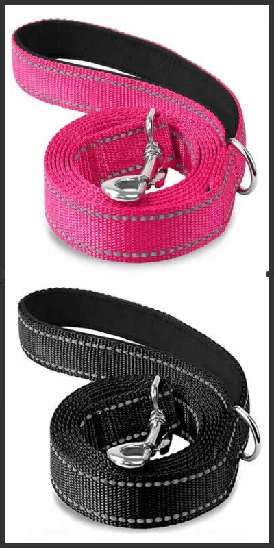 Reflective Nylon Dog Leash with Padded Handle, 4, 5 or 6 ft