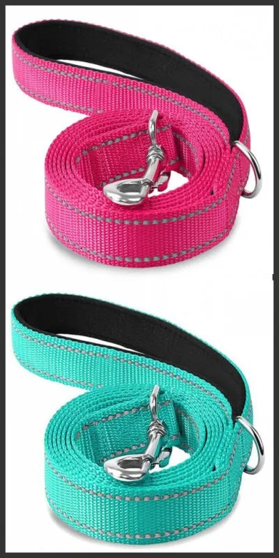 Reflective Nylon Dog Leash with Padded Handle, 4, 5 or 6 ft