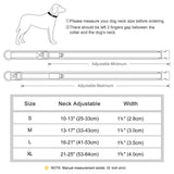 Personalized Dog Collar with Engraved Buckle, Reflective & Padded
