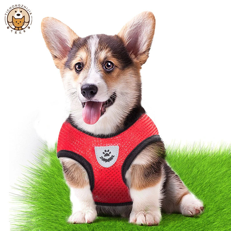 Mesh Dog Harness and Leash Set for Puppies and Small Dogs