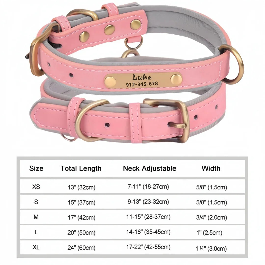 Personalized Padded Leather Dog Collar with Engraved Nameplate