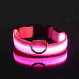LED Light-Up Nylon Dog Collar with D-Ring and Buckle