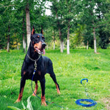 Stainless Steel Choke Chain Collar for Dog Training, 6 Sizes