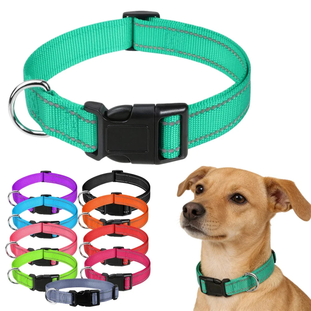 Reflective Nylon Dog Collar, Adjustable, XS to XL in 10 Colors