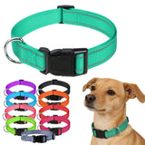 Reflective Nylon Dog Collar, Adjustable, XS to XL in 10 Colors