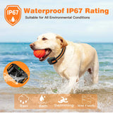 Remote Dog Training Collar with LCD Remote, 1 to 99 Levels