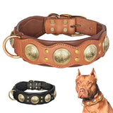 Real Leather Spiked Studded Dog Collar for Medium and Large Dogs