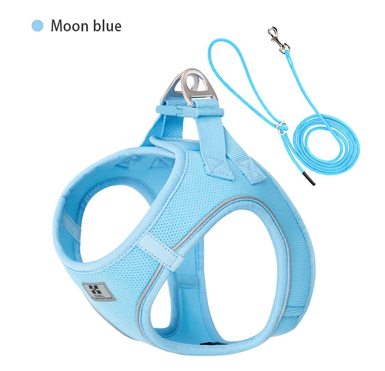Step-In Dog Harness and Leash Set for Small Dogs and Cats