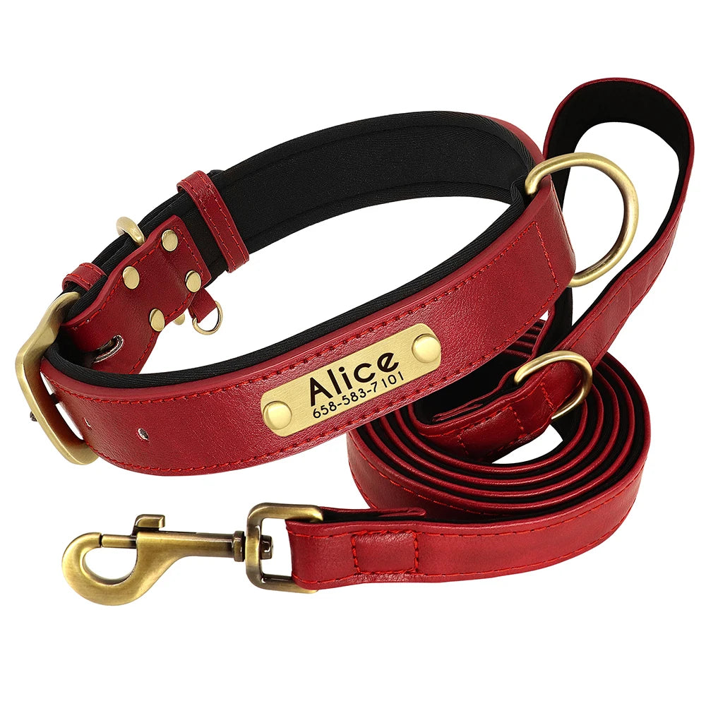 Personalized Dog Collar and Leash Set with Engraved Nameplate