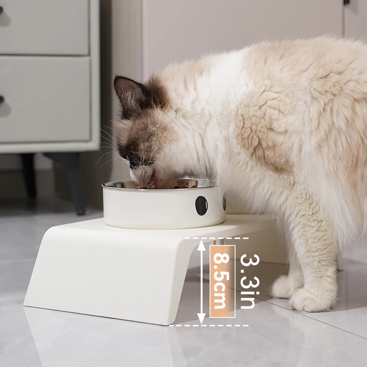 Raised Dog Feeder – 2 Stainless Steel Bowls