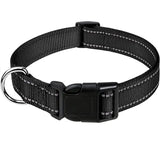 Reflective Nylon Dog Collar, Adjustable, XS to XL in 10 Colors