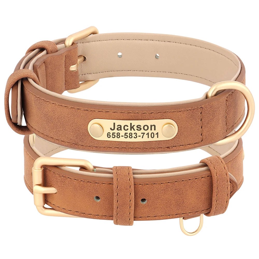 Personalized Leather Dog Collar with Engraved Nameplate, Pin Buckle