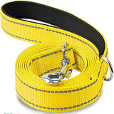 Reflective Nylon Dog Leash with Padded Handle, 4, 5 or 6 ft