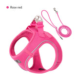 Step-In Dog Harness and Leash Set for Small Dogs and Cats