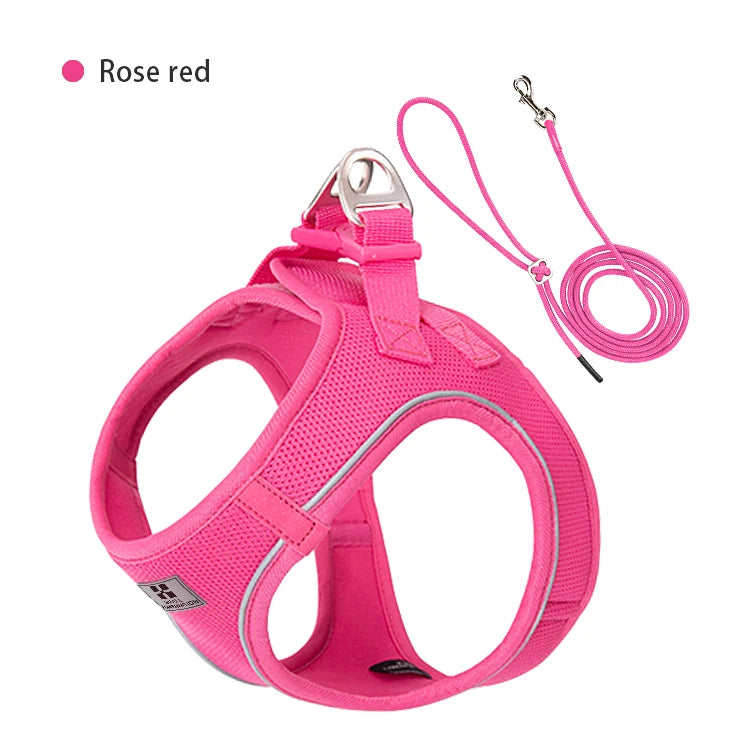 Step-In Dog Harness and Leash Set for Small Dogs and Cats