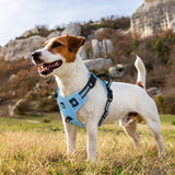 No Pull Dog Harness and Leash Set with Front and Back Clips
