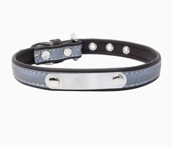 Personalized Dog Collar Gift for Dog Lovers, Engraved Name