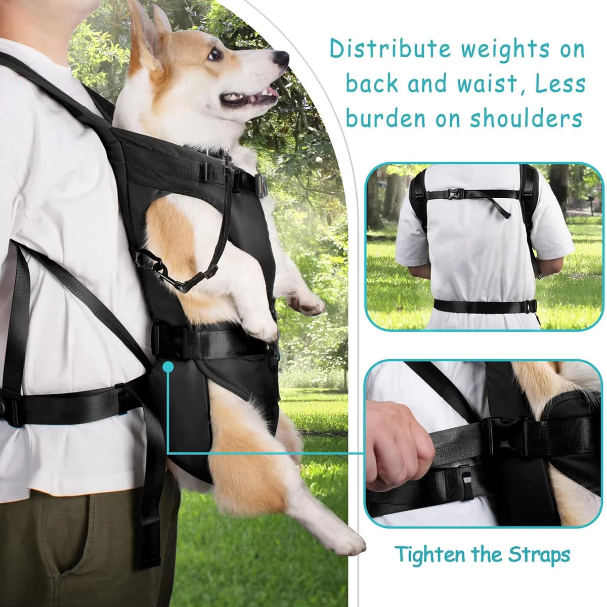 Legs-Out Front Dog Carrier Backpack, Hands-Free, S to XL