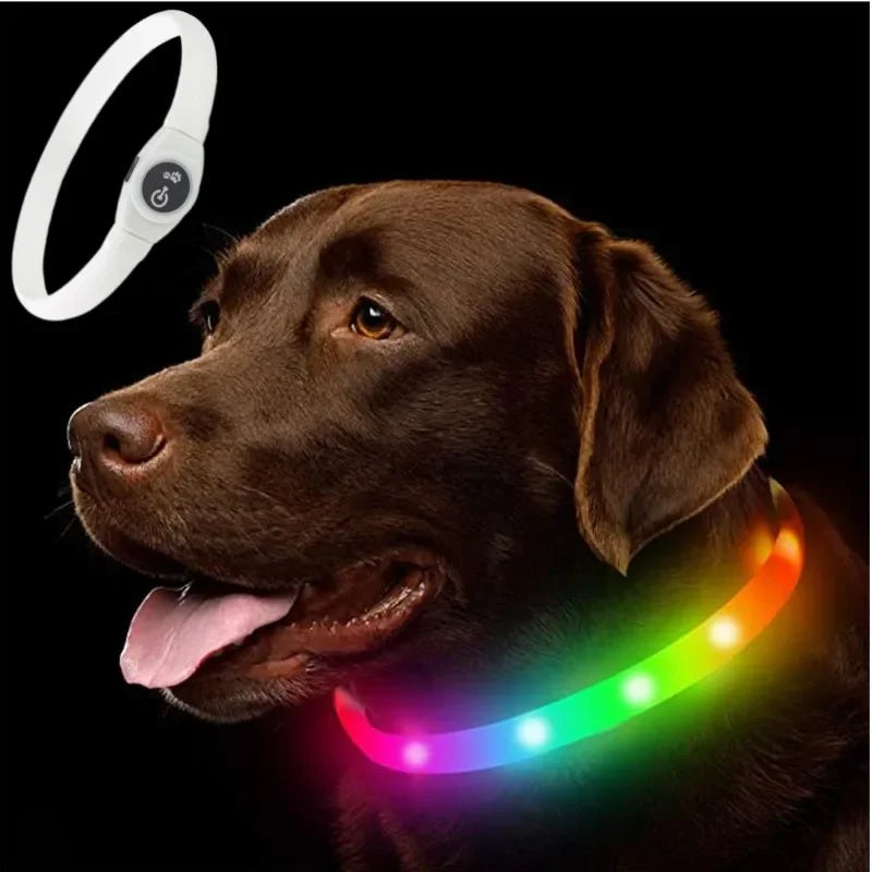 Rechargeable LED Dog Collar, Cut to Fit Small to Large Dogs