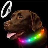 Rechargeable LED Dog Collar, Cut to Fit Small to Large Dogs