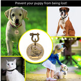 Custom Engraved Dog ID Tags in Bulk, 5 or 10 Pack