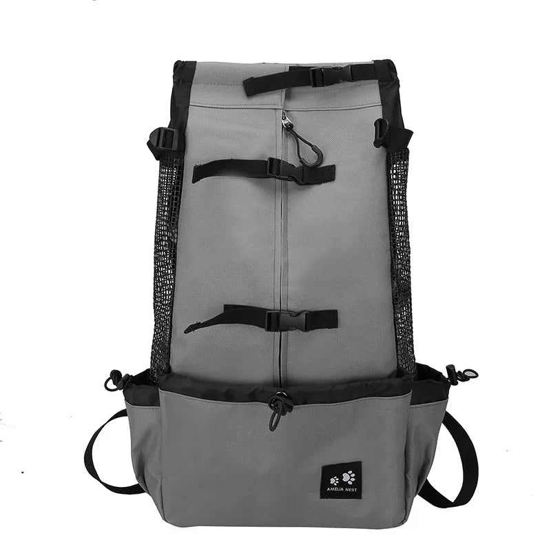Reflective Motorcycle Dog Backpack with Cushioned Base