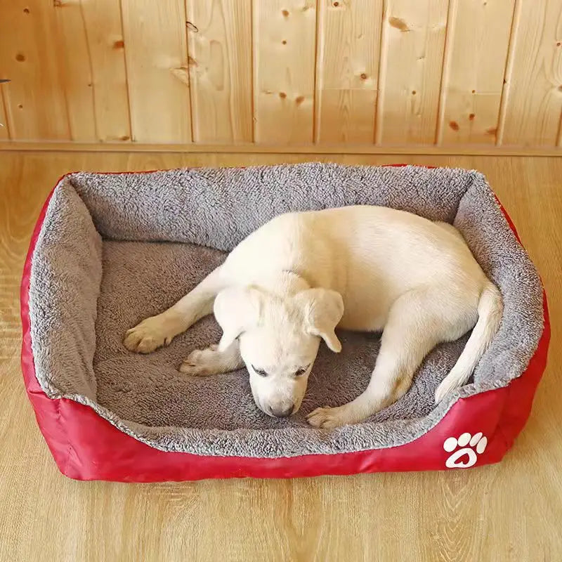 Plush Rectangle Dog Bed with Raised Sides in Candy Colors