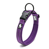 Soft Padded Dog Collar with Mesh Lining for Small to Large Dogs