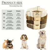 Personalized Velvet Dog Collar with Engraved Name ID Tag