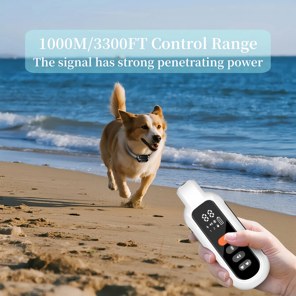 Dog Training Collar with Remote, 3300 ft Range, Beep, Vibration, Shock