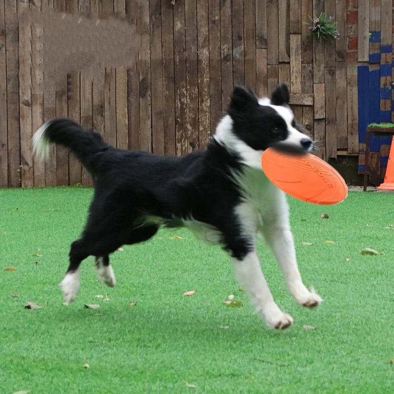 Soft Dog Flying Disc for Fetch, 3 Sizes