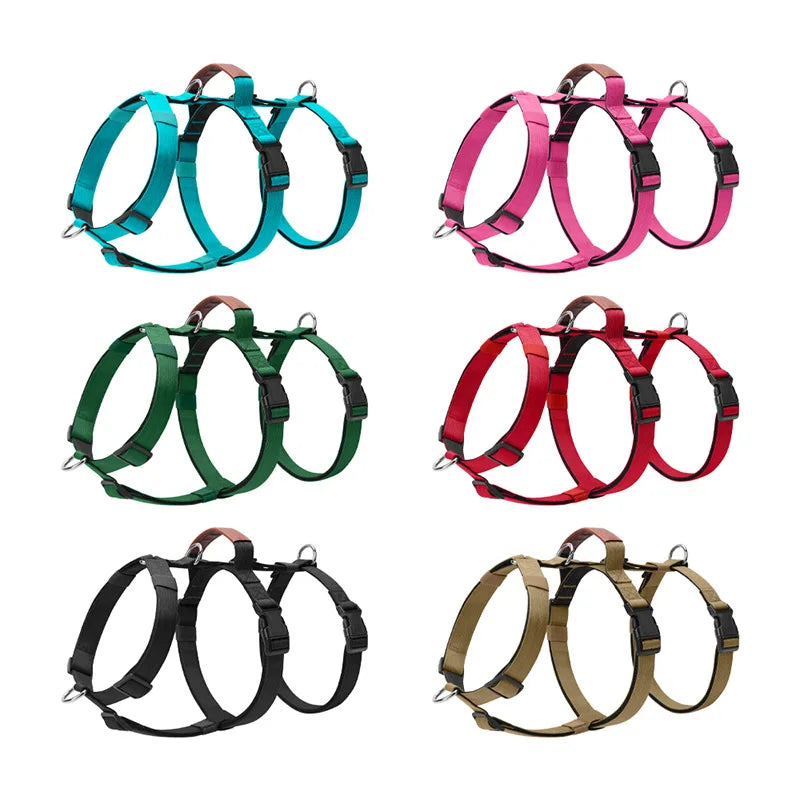 Three-Strap Escape Resistant Harness for Medium and Large Dogs
