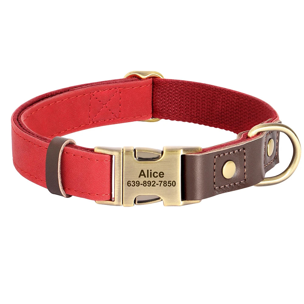 Custom Engraved Buckle Dog Collar with Name and Phone Number