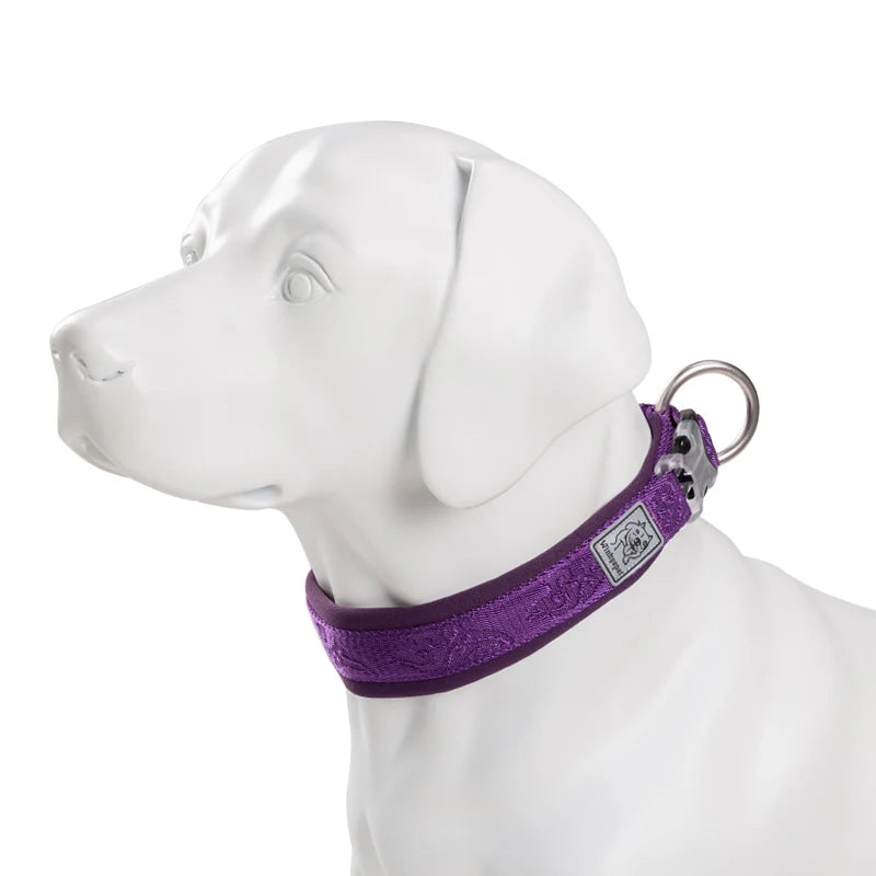 Adjustable Padded Dog Collar with Quick Release Buckle, XXS to 3XL