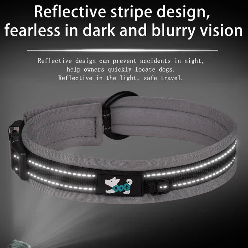 Personalized Collar for Large Dogs with Engraved Name Plate