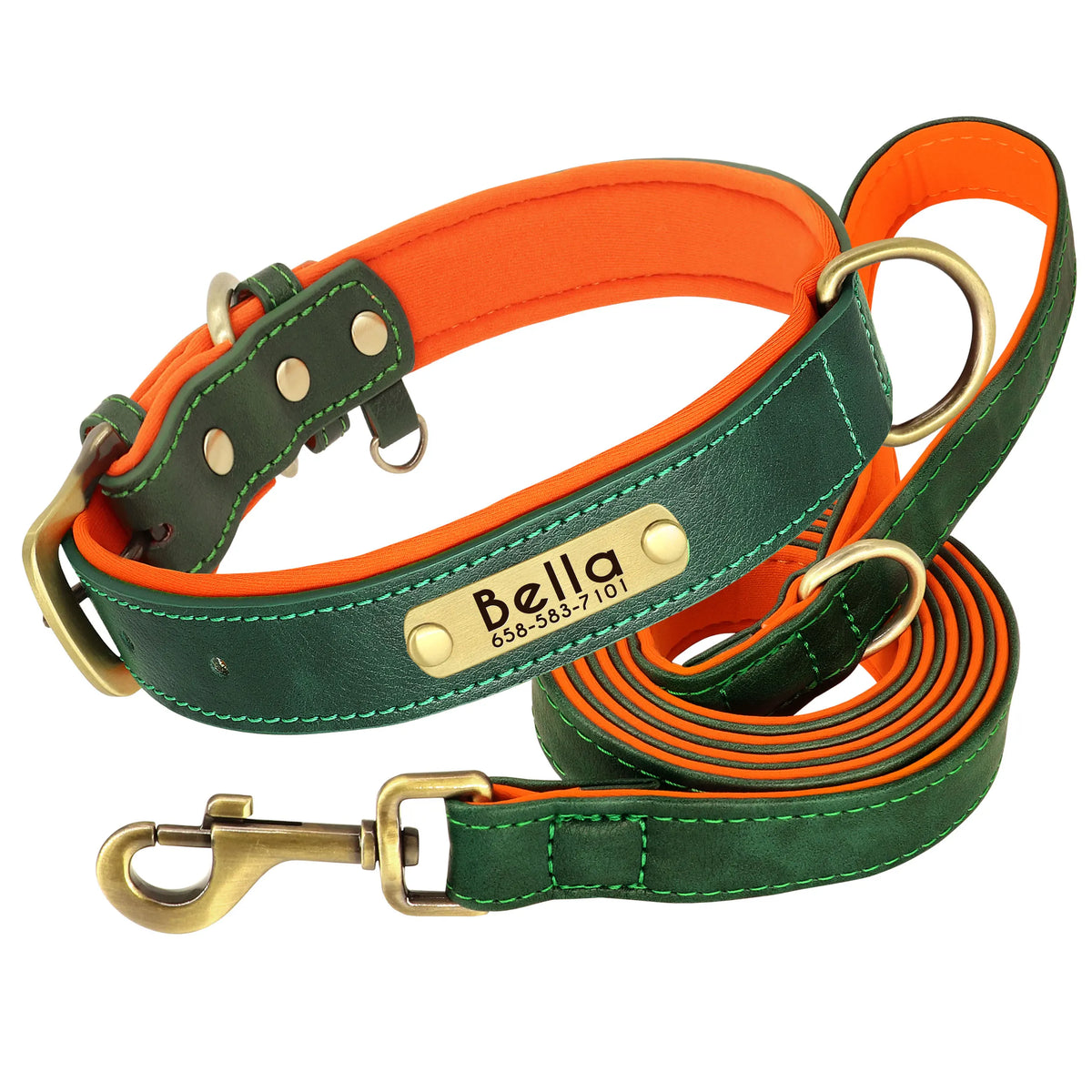 Personalized Dog Collar and Leash Set with Engraved Nameplate