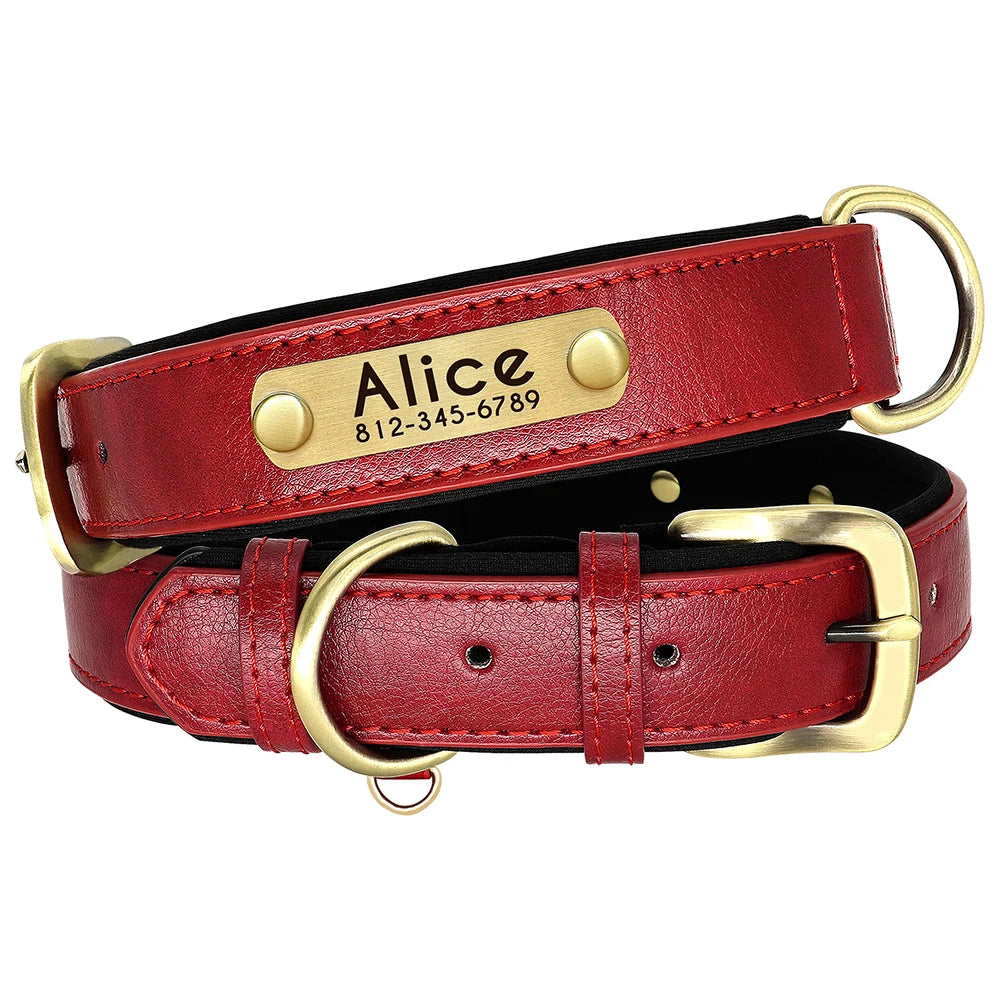 Personalized Dog Collar and Leash Set with Engraved Nameplate
