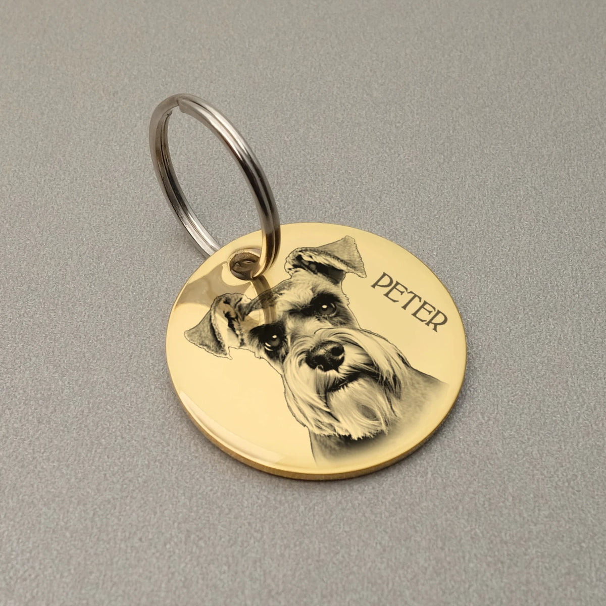 Custom Dog ID Tag with Photo, Personalized Stainless Steel