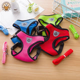 Mesh Dog Harness and Leash Set for Puppies and Small Dogs
