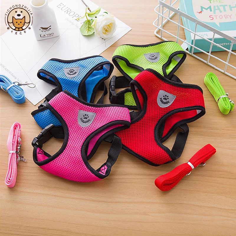 Mesh Dog Harness and Leash Set for Puppies and Small Dogs