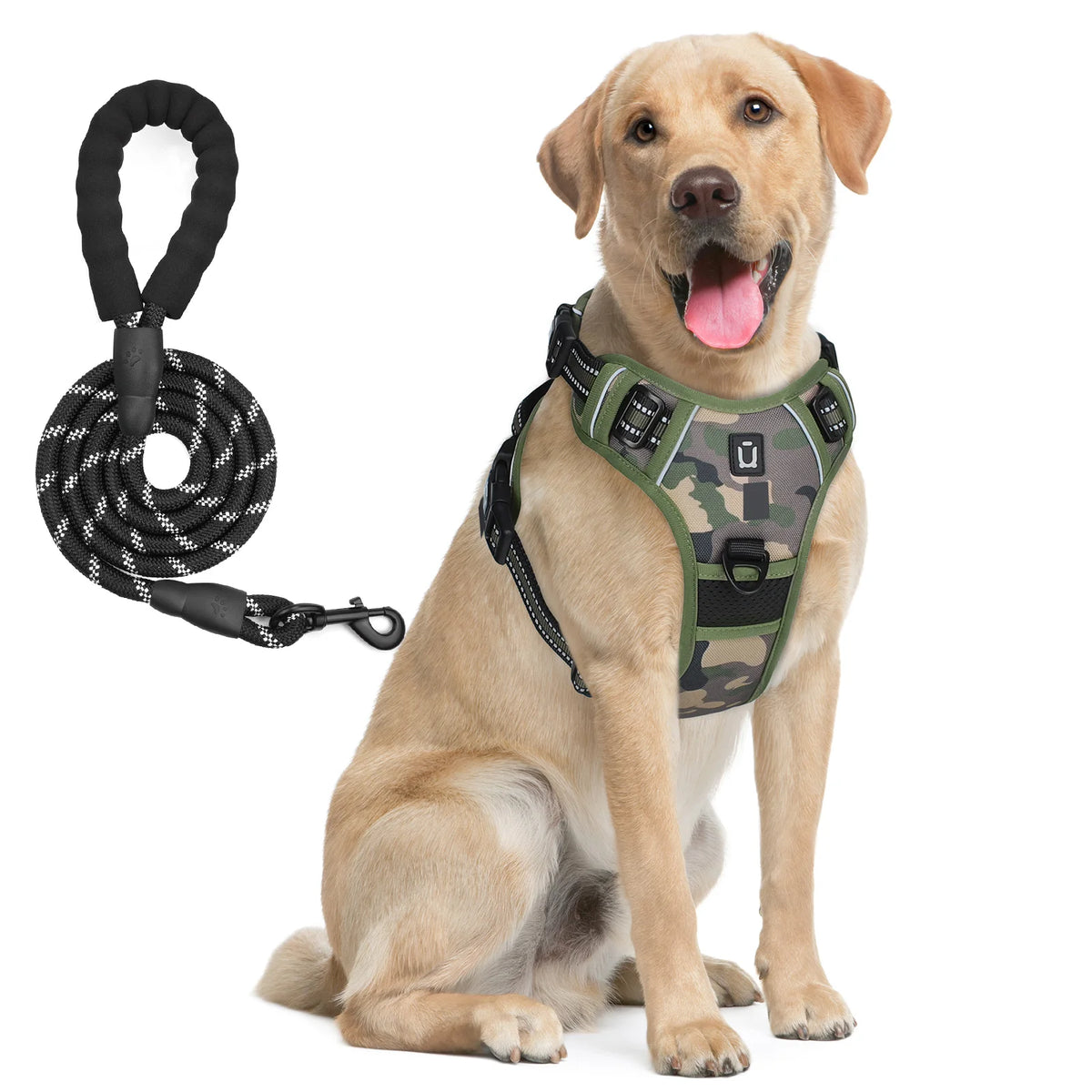 No Pull Dog Harness and Leash Set with Front and Back Clips