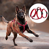 Three-Strap Escape Resistant Harness for Medium and Large Dogs