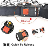 Stainless Steel Prong Training Collar with Quick Release Buckle