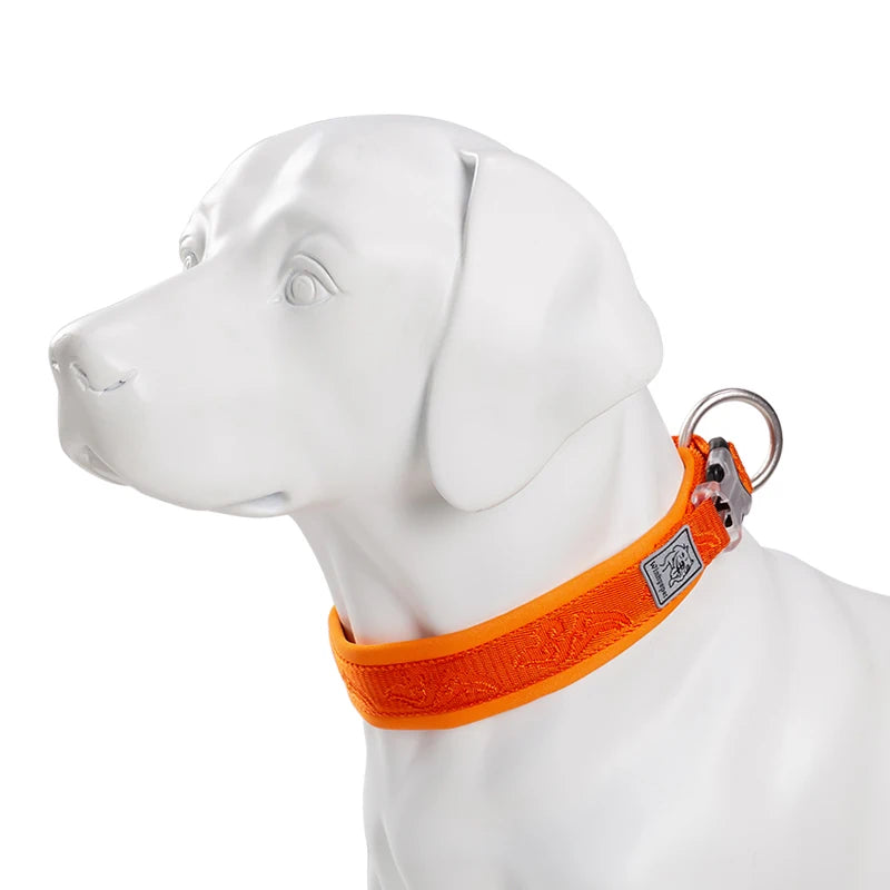 Adjustable Padded Dog Collar with Quick Release Buckle, XXS to 3XL