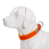 Adjustable Padded Dog Collar with Quick Release Buckle, XXS to 3XL