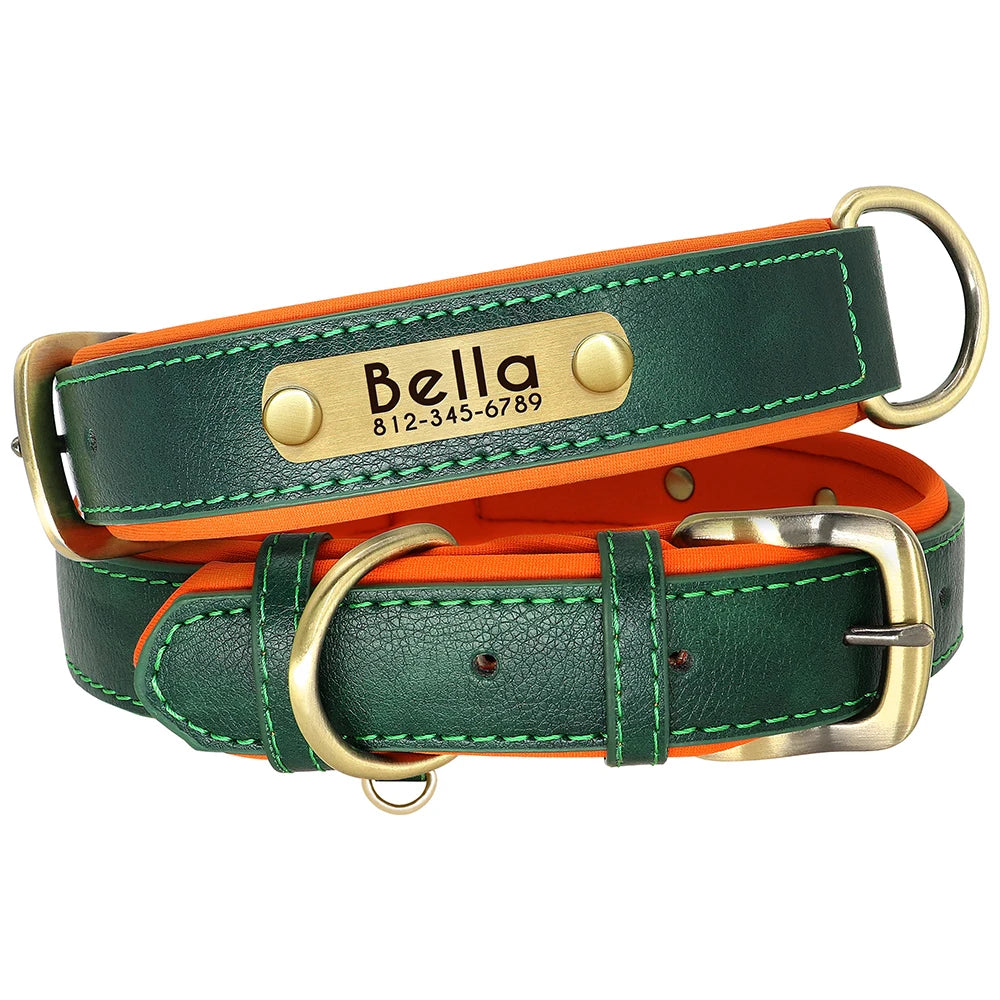 Personalized Dog Collar and Leash Set with Engraved Nameplate