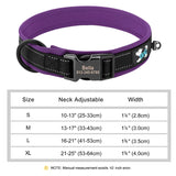 Custom Padded Nylon Dog Collar with Engraved Phone Number