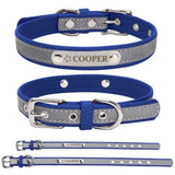 Personalized Dog Collar Gift for Dog Lovers, Engraved Name