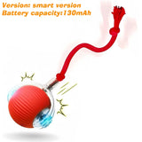 Automatic Rolling Ball Toy for Dogs, Rechargeable with 3 Modes